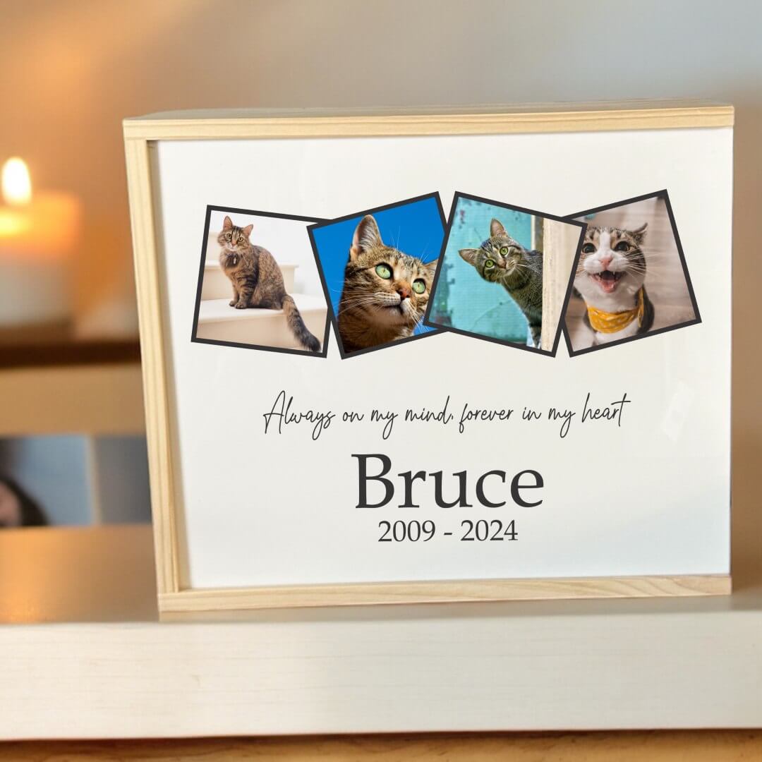 woodem memorial box 5 sq