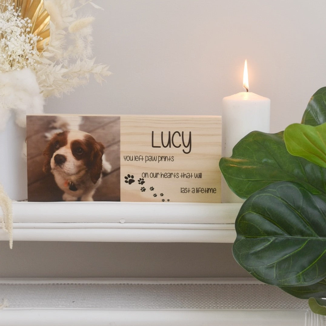 Pet Memorial