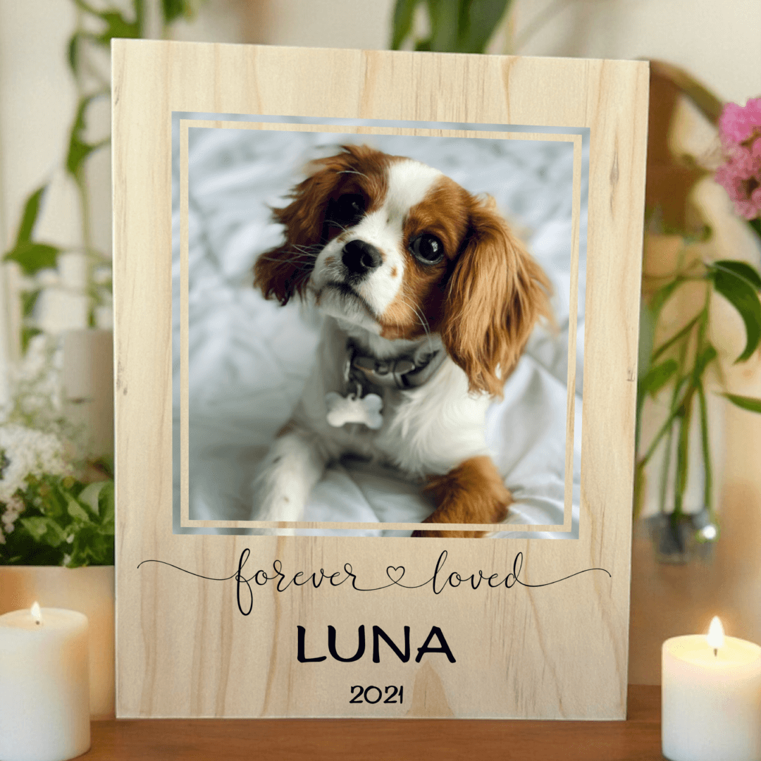 Pet Memorial - Photo