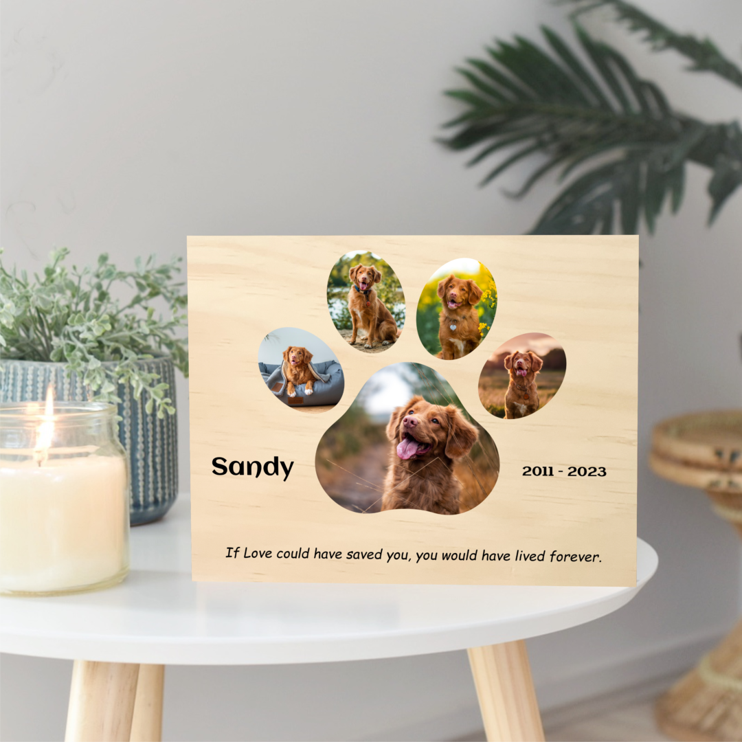 pet-memorial-photo