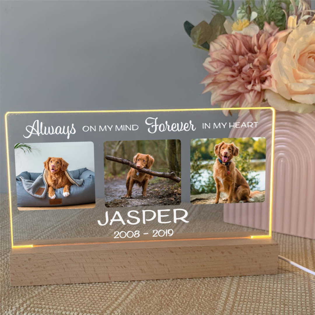 pet-memorial-keepsake-pet-sympathy-gift