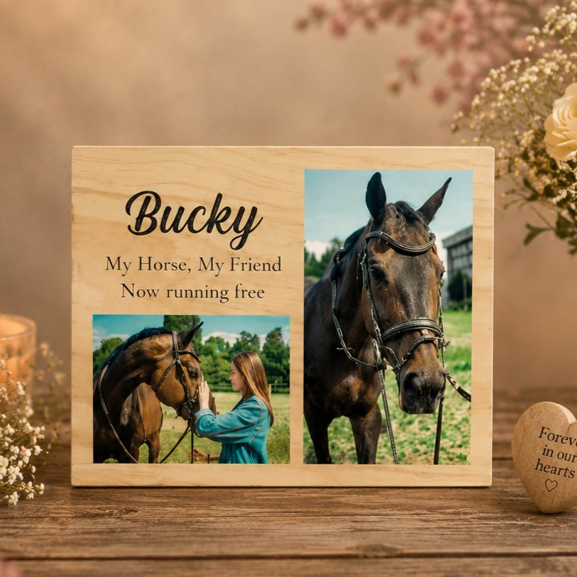pet memorial photo