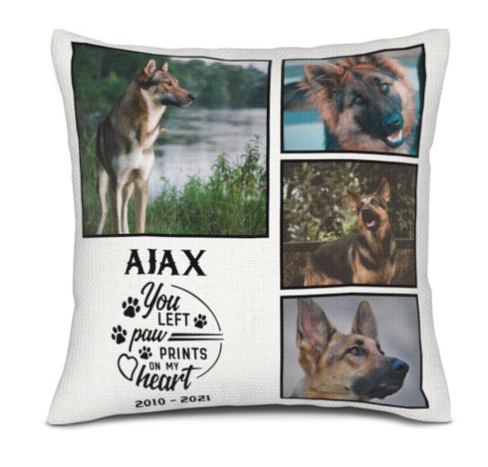 4 photo pet