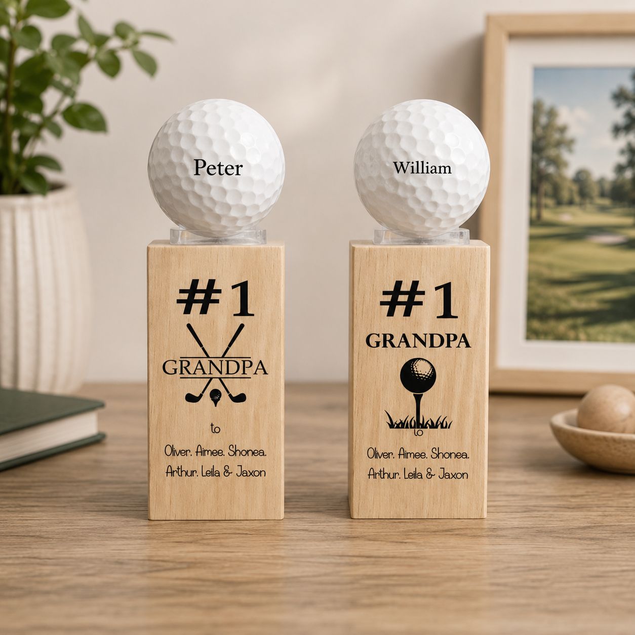 father's day golf gift