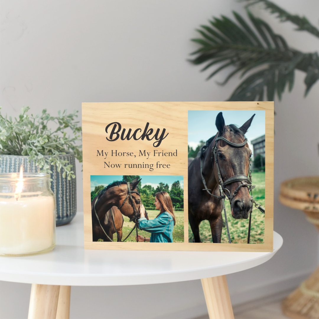 pet memorial gifts