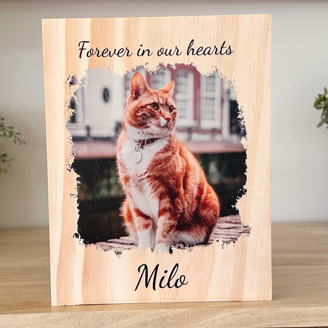 pet memorial