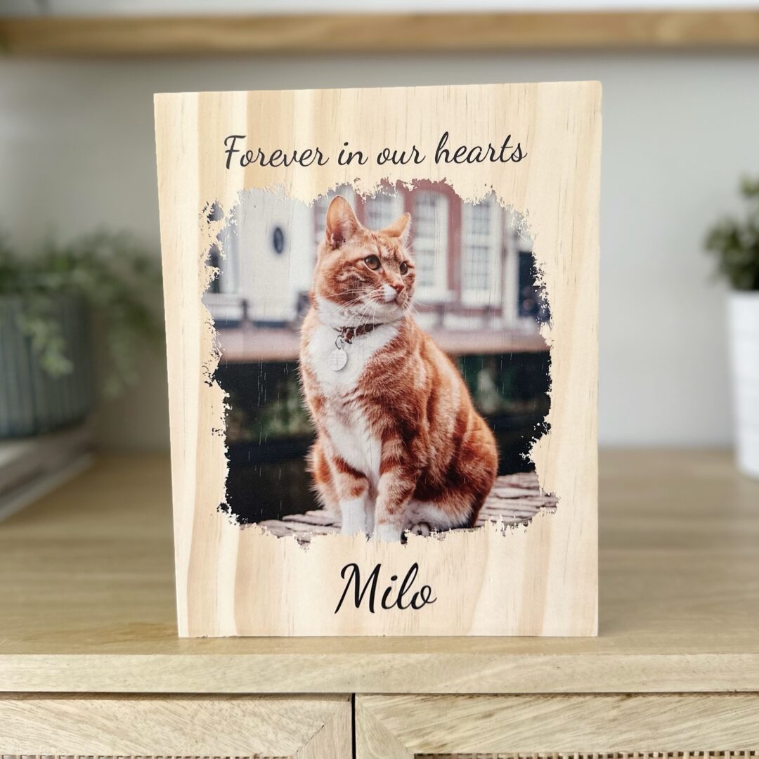 pet memorial