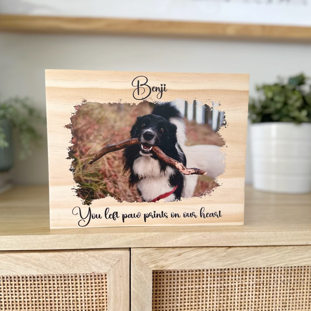 pet-photo-gift