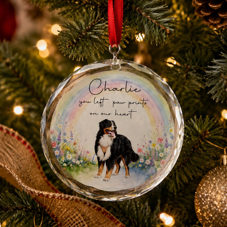 Personalised crystal pet memorial ornament featuring custom pet photo with background removed and integrated into rainbow memorial design