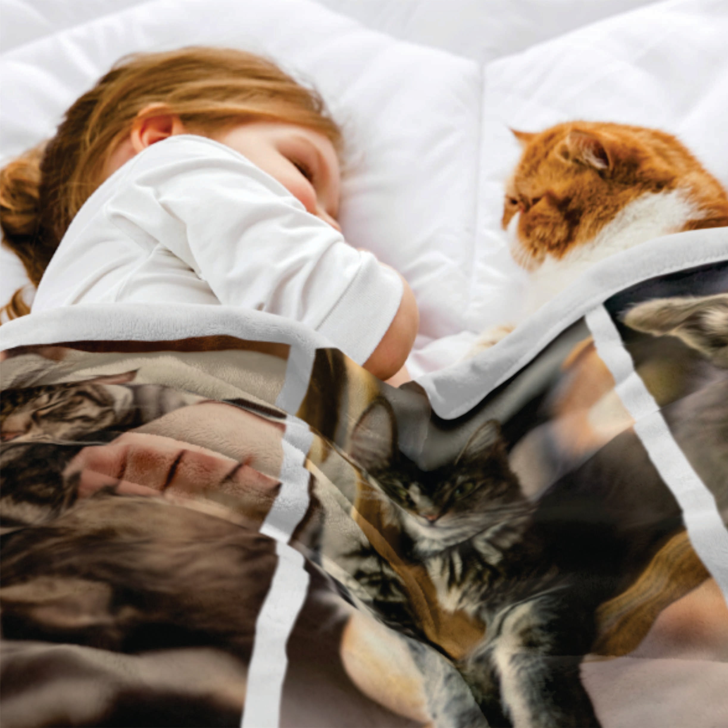 3 Photo Pet Memorial Blanket
