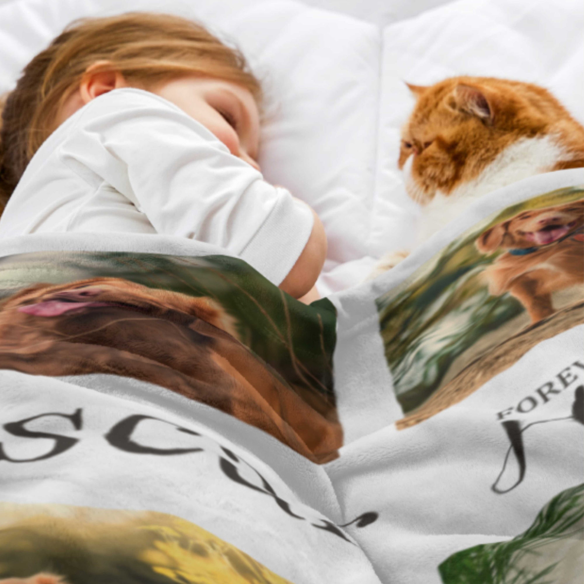 pet-memorial-gift