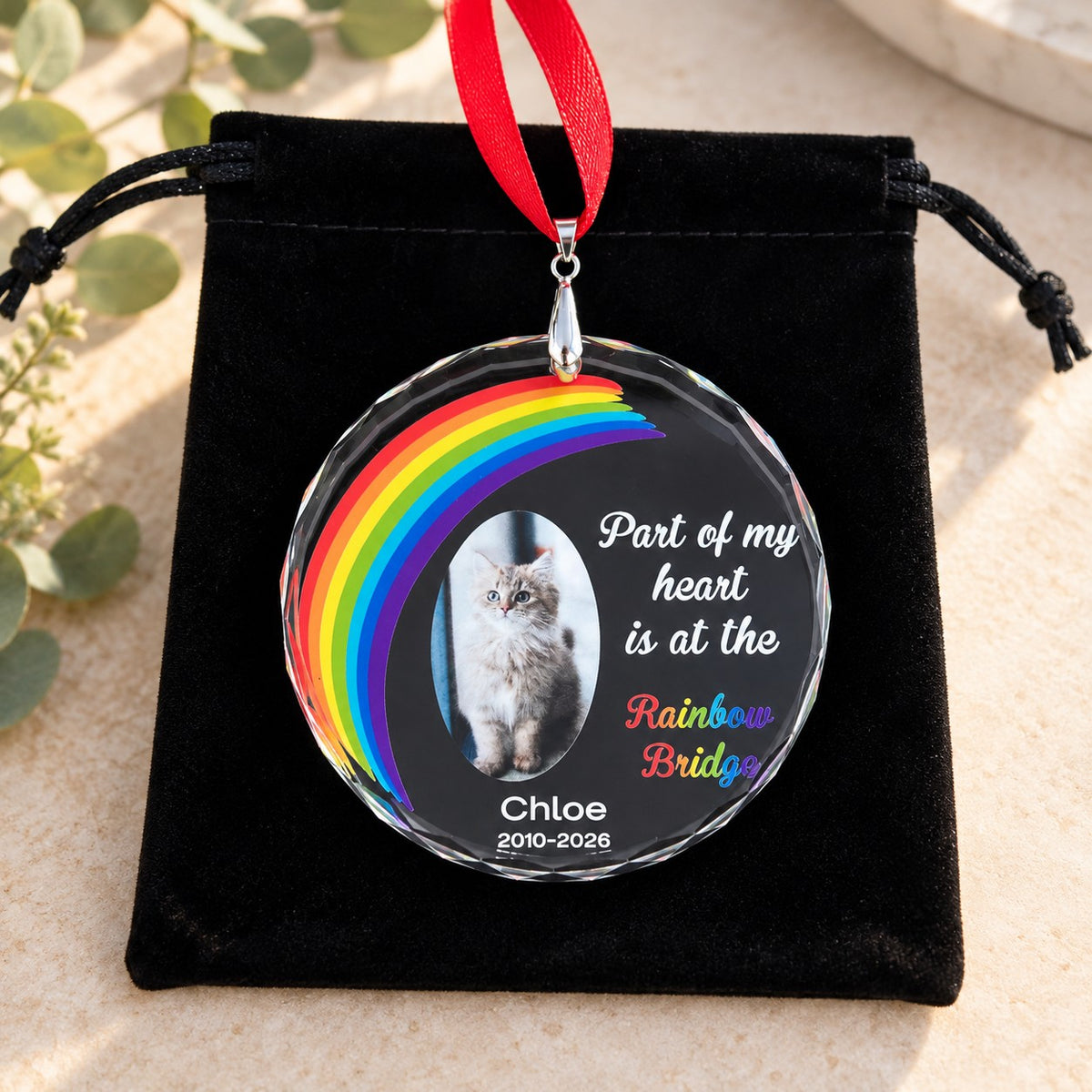 pet christmas ornament