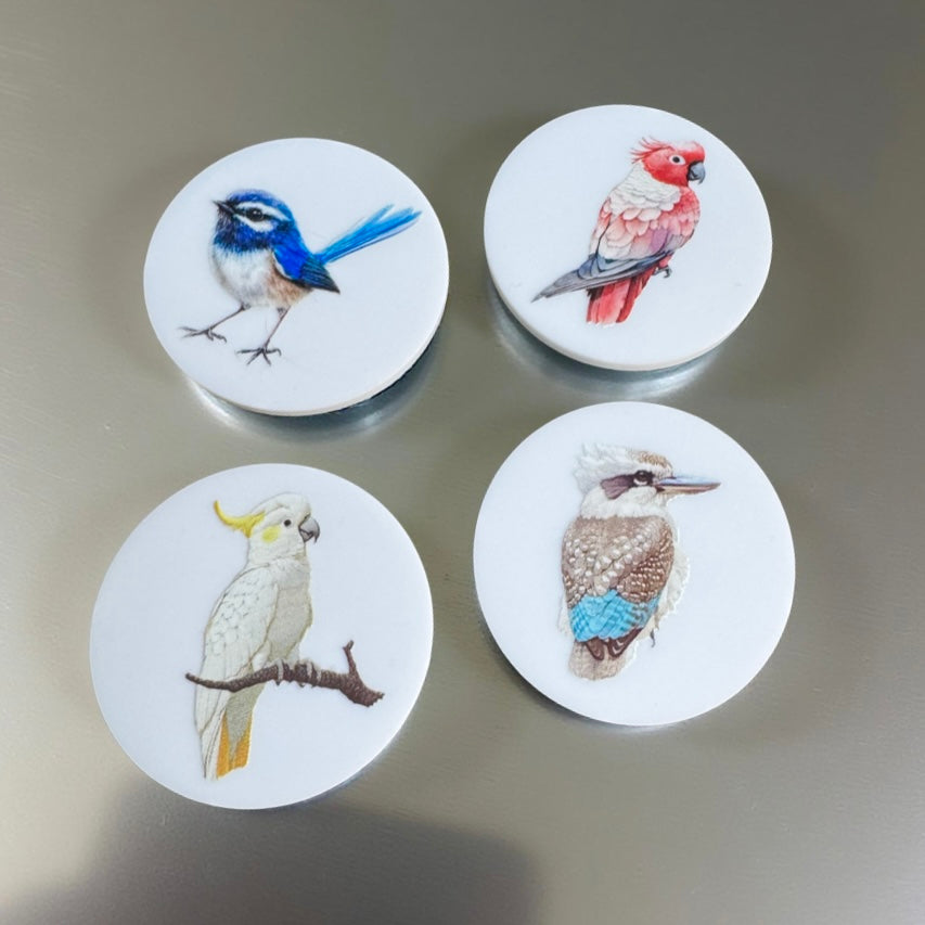 bird-magnets