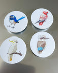 bird-magnets