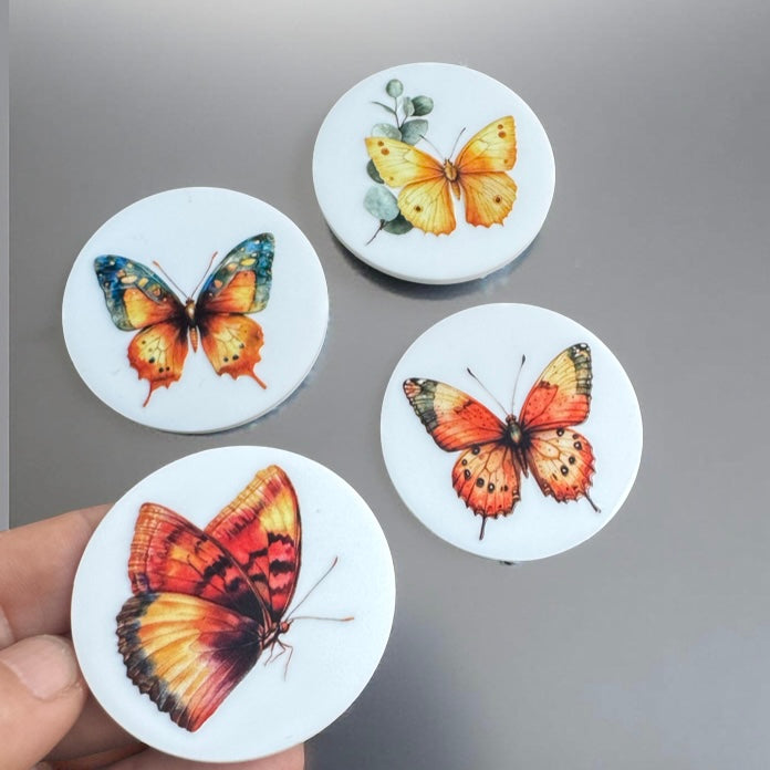 butterfly-magnets