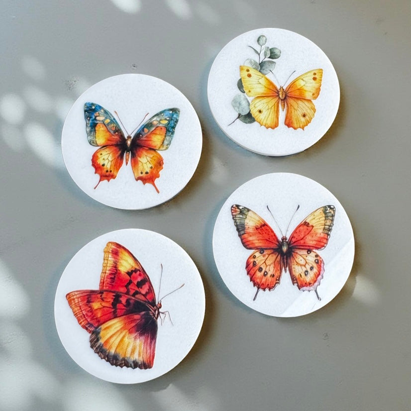 butterfly-magnets