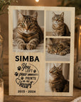 pet loss photo block