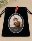 pet memorial ornament