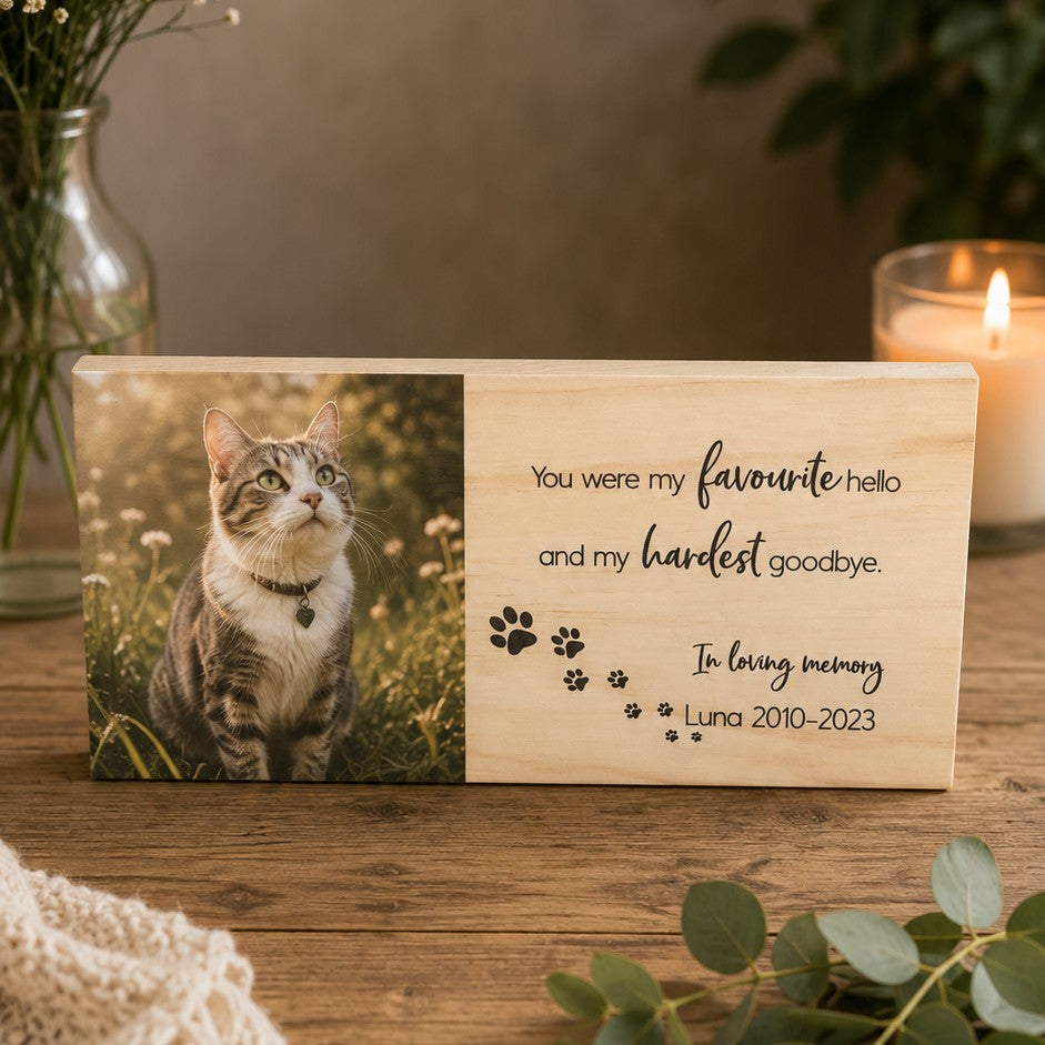 cat sympathy gift