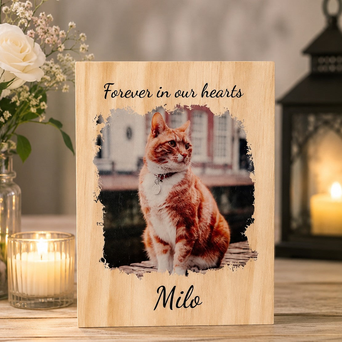 cat loss photo keepsake