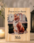 cat loss photo keepsake