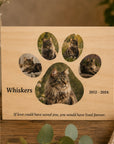 cat loss gift