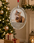 Personalised glass pet memorial Christmas ornament with photo and Forever Loved design