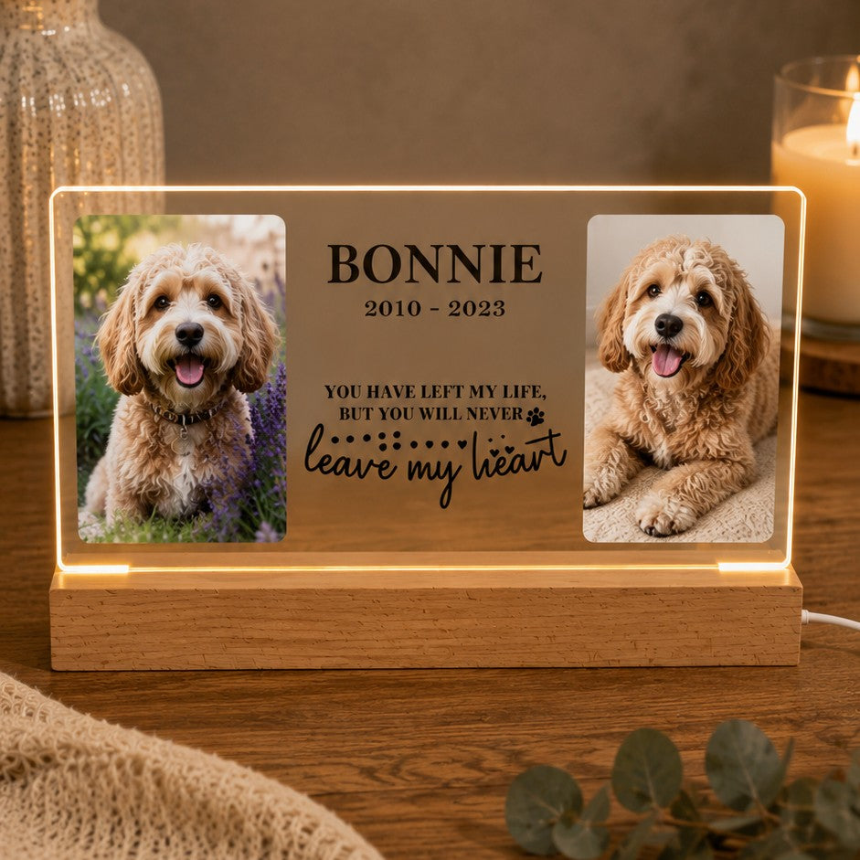 dog sympathy gift