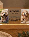 dog sympathy gift