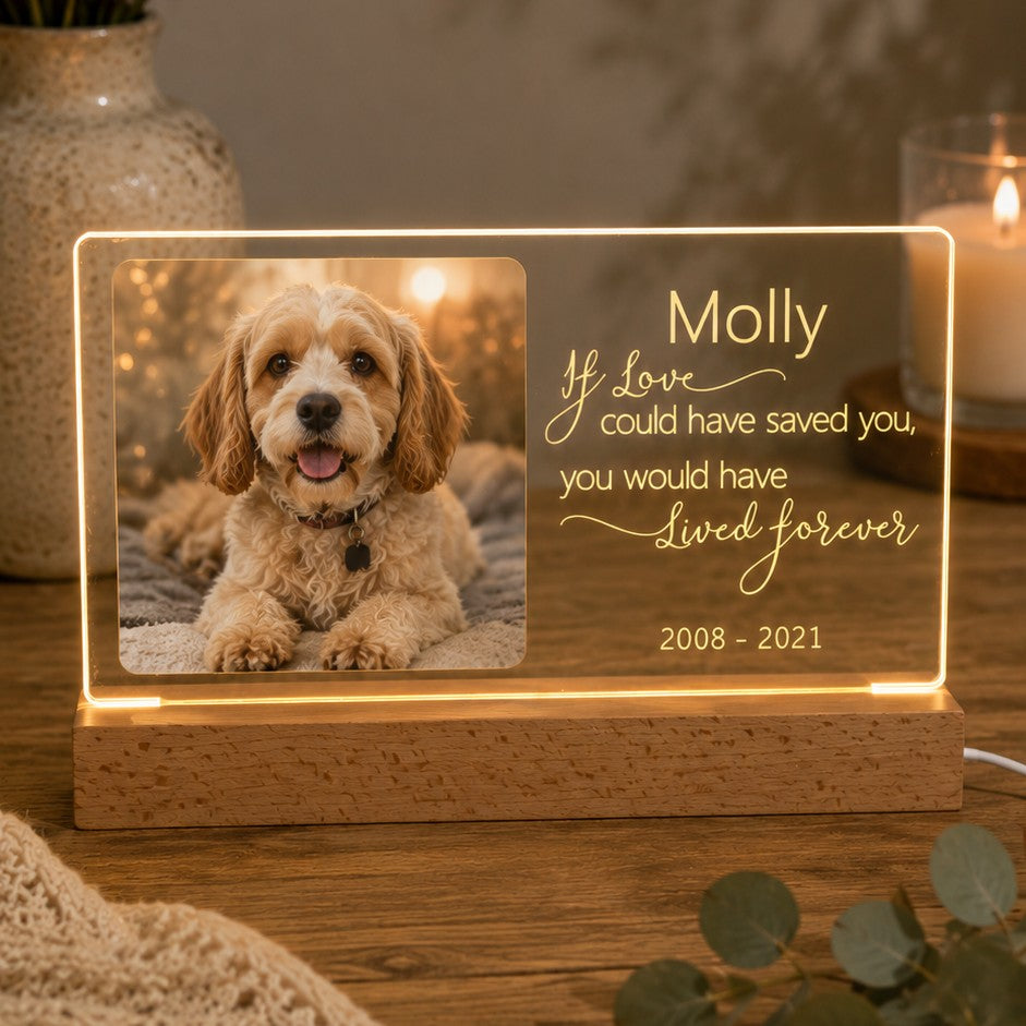 pet memorial light