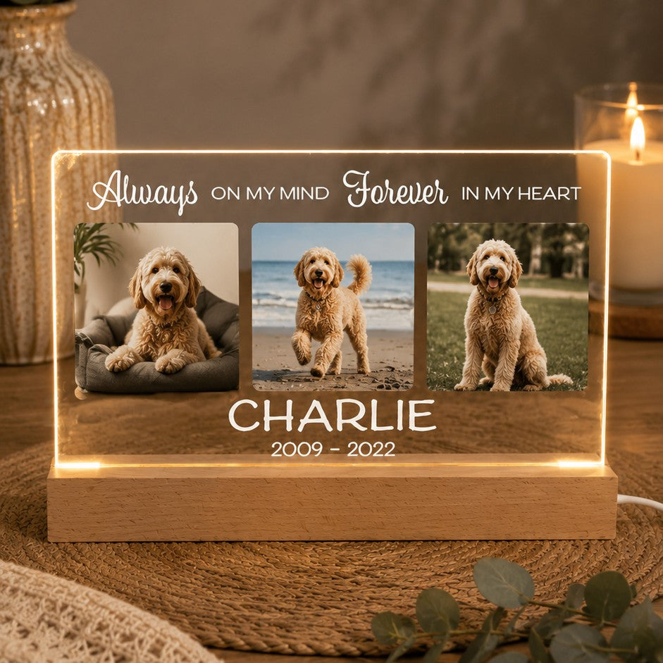 dog memorial sympathy gift
