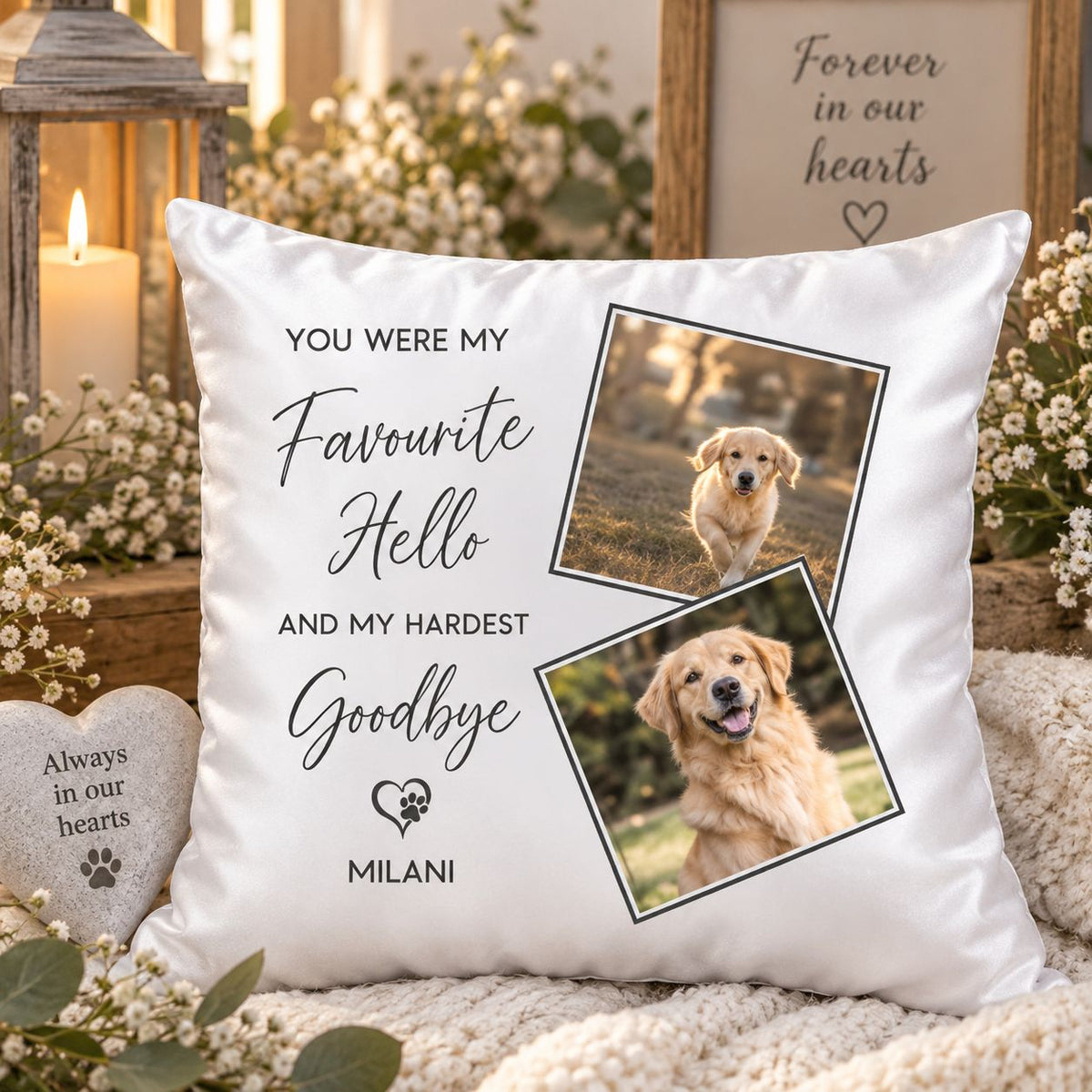 Favourite Hello Pet Memorial Cushion