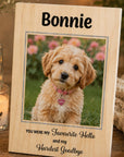 pet memorial photo gift