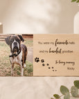 favourite hello pet memorial keepsake