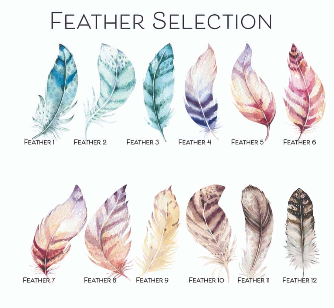 feather selection