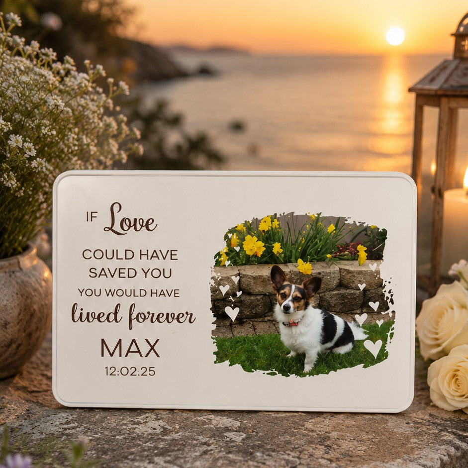 pet loss box