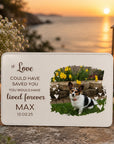 pet loss box