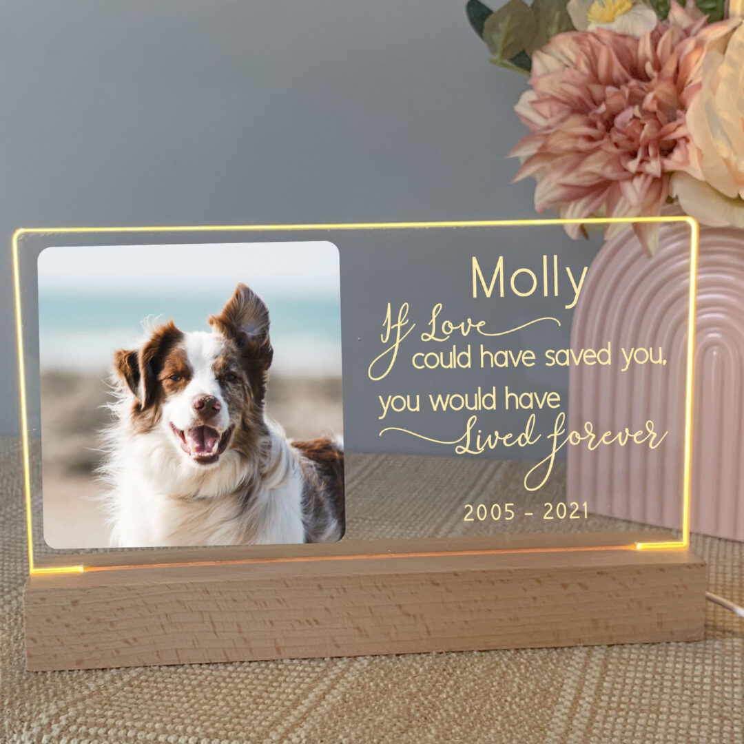 Pet-memorial-keepsake-pet-sympathy-gift