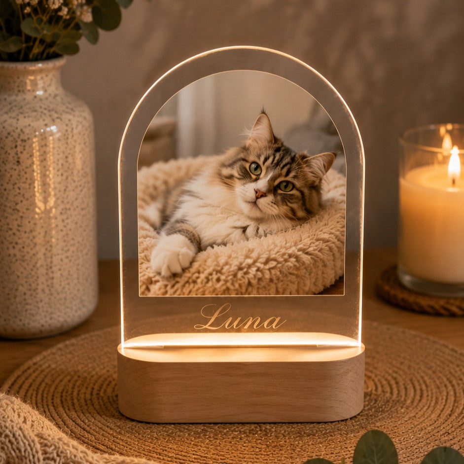 cat sympathy gift
