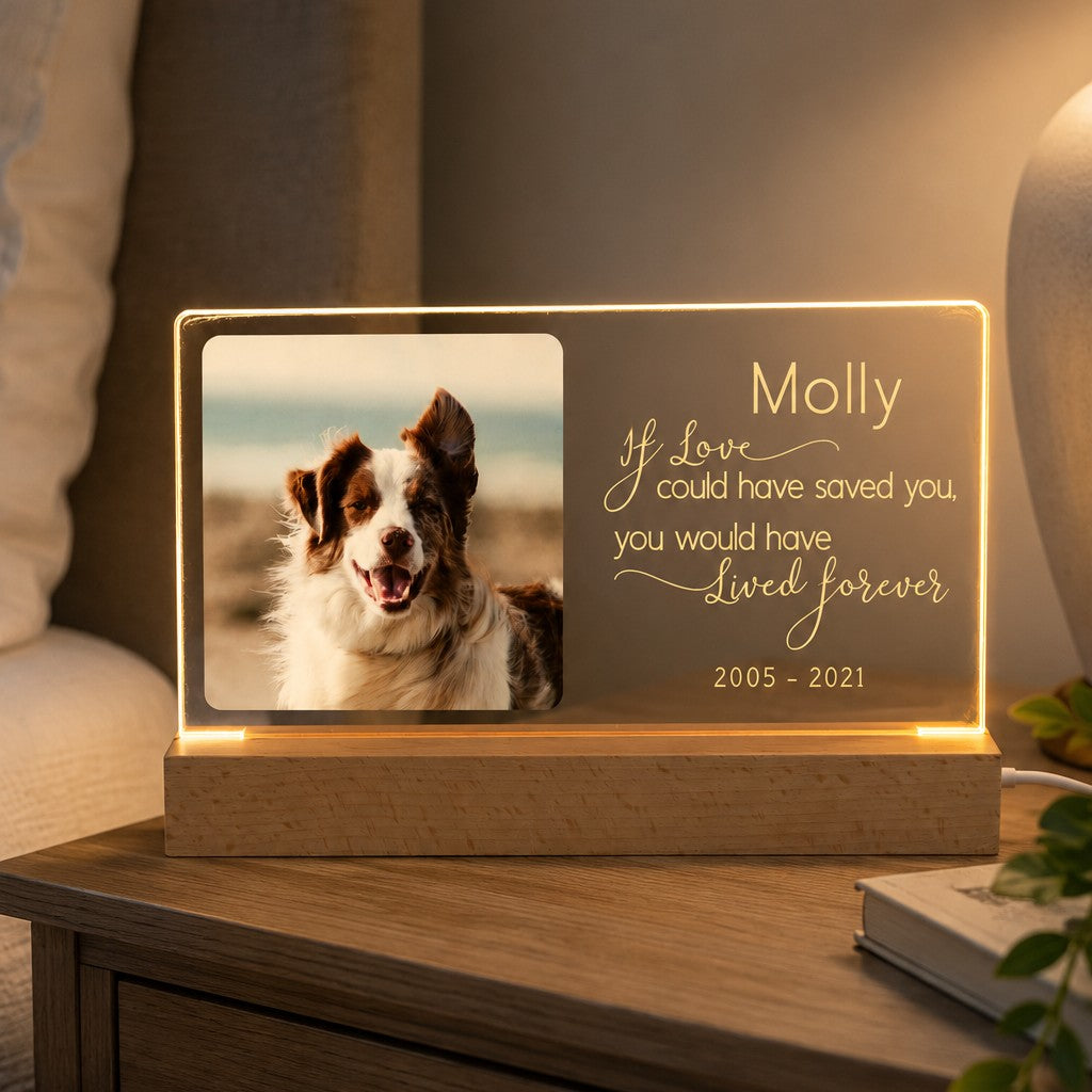 memorial night light for pet