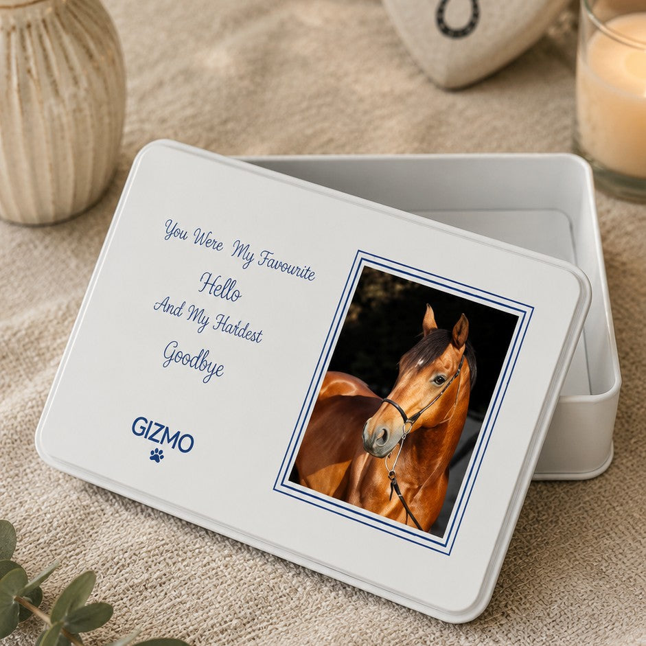 loss of pet memorial box