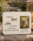 pet sympathy gift