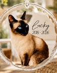 Personalised crystal pet memorial ornament featuring pet photo, name and memorial dates 