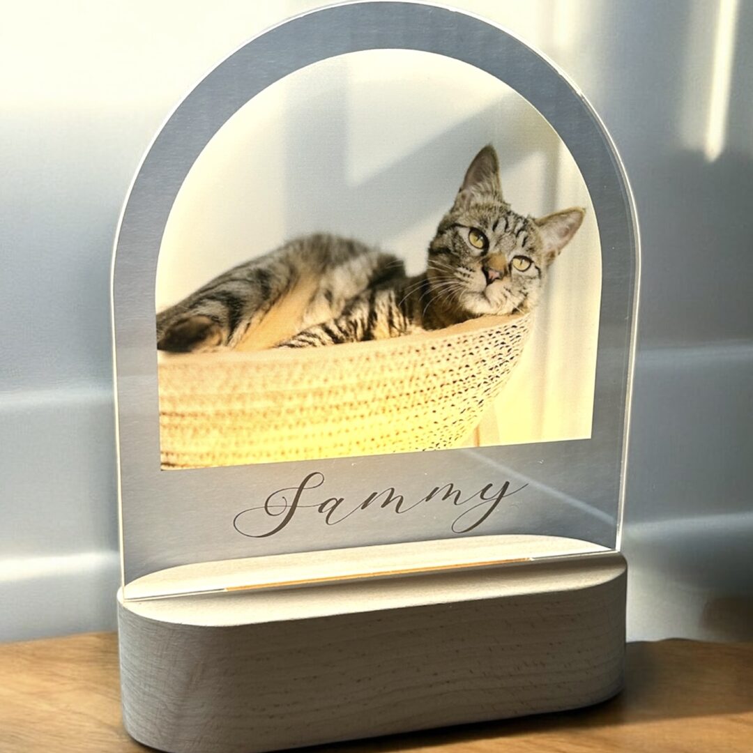pet-memorial-light