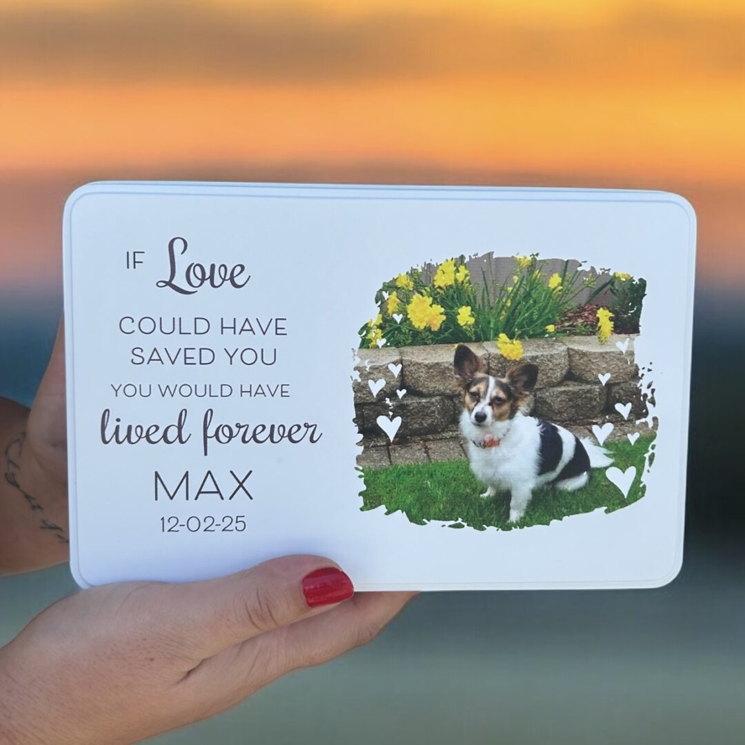 pet-memorial-keepsake-box