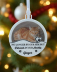 Pet-memorial-ornament
