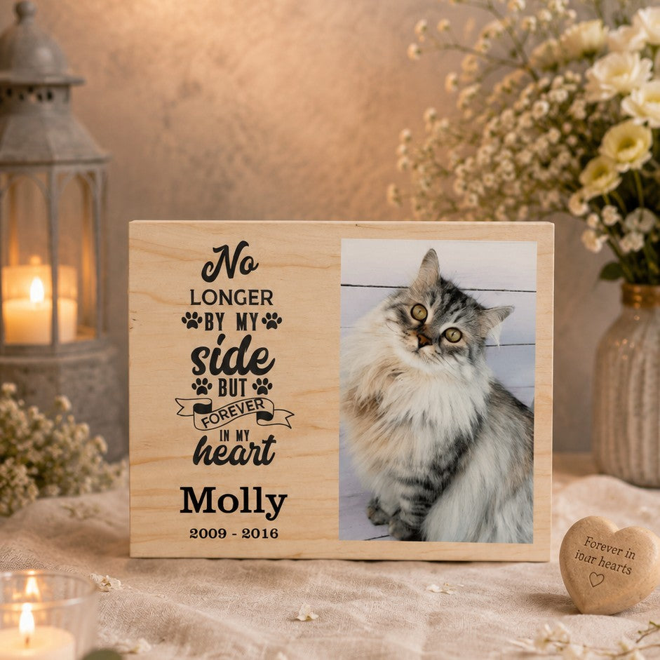 forever in my heart pet keepsake