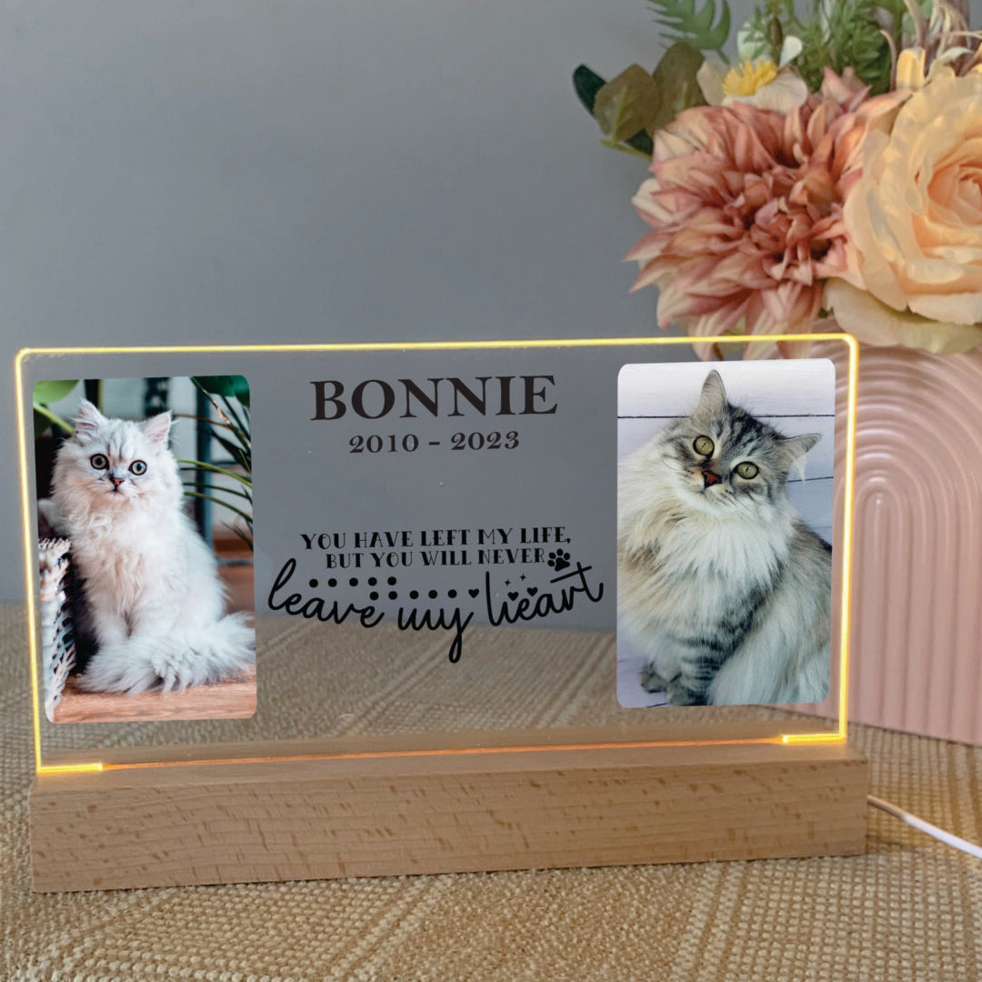 Pet memorial keepsake, pet sympathy gift