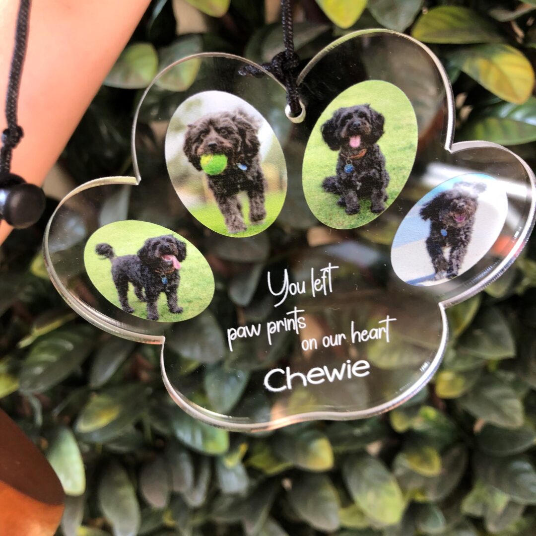 pet memorial windchimes. pet loss gift