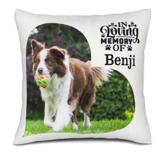 pet heart 2